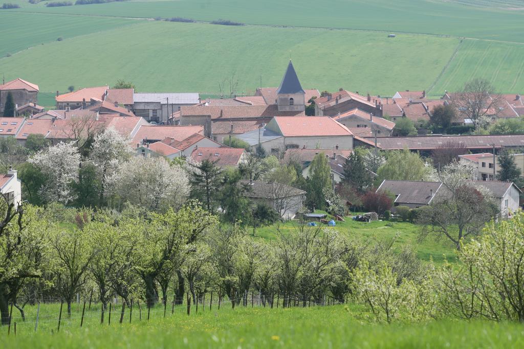 Apartamento Les De Catherine, La Si Calme Nancy